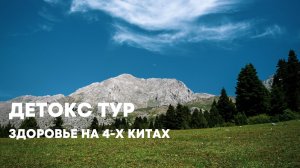 Центр Волкова - Детокс тур "Здоровье на 4-х китах".
По уникальной методике Федора Волкова