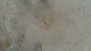Рыбалка в августе на Северной Двине