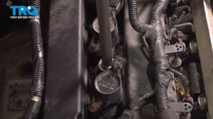 How to Replace Cylinder Temperature Sensor 2010-2013 Ford Transit Connect