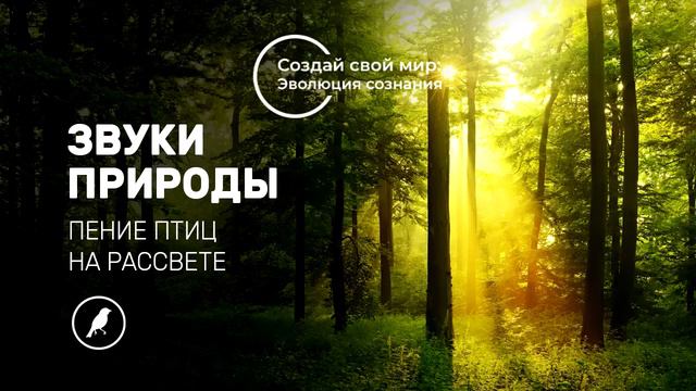 Звуки природы: пение птиц на рассвете/Nature Sounds: Singing Birds at Sunrise