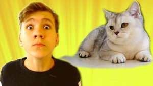 Марфа, РОЖАЙ! Я тебе ПОМОГУ! Что значит НЕ ХОЧЕШЬ?!