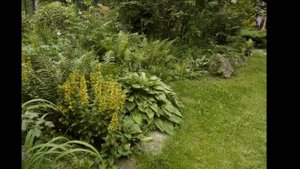 Прогулка по саду Наталии Жуковой, часть 1