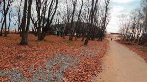 Бухта Петрова Приморский край