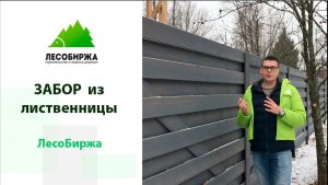 Забор из планкена. Как сделать крутой забор из низких сортов лиственницы
