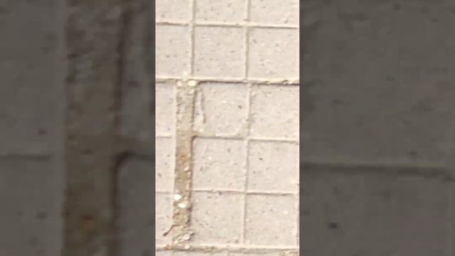 ПРОГУЛКА ПОСЛЕ ЗАНЯТИЯ СПОРТОМ смотреть онлайн