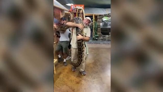 Top 10 LARGEST Snakes Ever Found On Earth