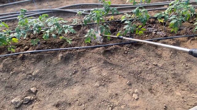 Настройка обработки после подвязывания смотреть онлайн