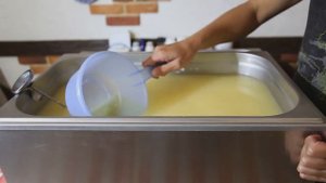 Сыр Маасдам, Как приготовить в домашних условиях.