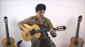 Ricardo Sanchis Carpio - Flamenca Negra