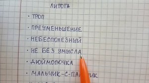 Литота - что это такое понятным языком, чем она отличается от гиперболы - объясняю и привожу пример