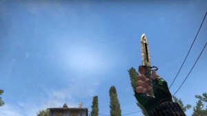 CS:GO BAYONET STAINED WELL-WORN | SKIN SHOWCASE