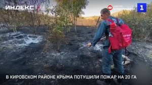 В Кировском районе Крыма потушили пожар на 20 га