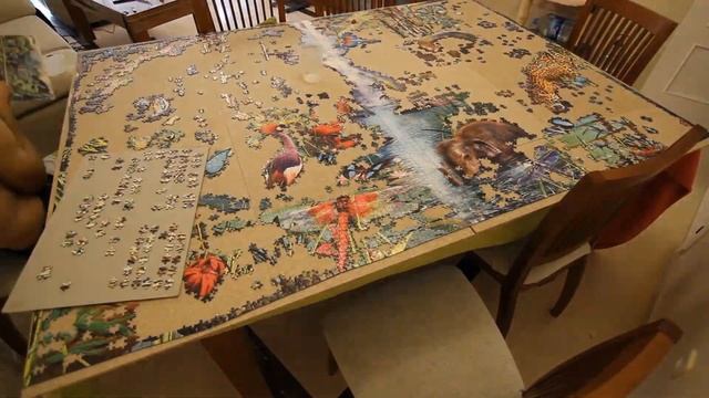 Ravensburger Jungle Animals 9000 Piece Jigsaw Puzzle Time Lapse (mixed bags) смотреть онлайн