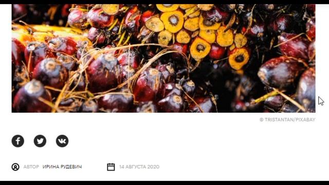 ВРЕД ПАЛЬМОВОГО МАСЛА смотреть онлайн