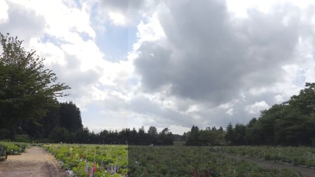 Canon XC10 small test 03 смотреть онлайн