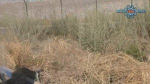 Отвалы коммунальные КО. Сальсксельмаш. Работа в поле.