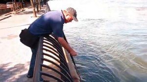 Urban Angler - NYC East River Bluefish Fishing