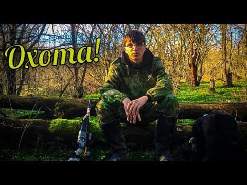 Охота! Ищем фазана! #охота #охота2021 #охотапоперу
