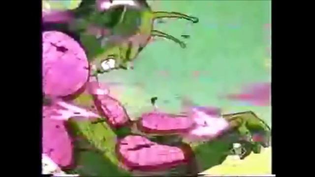 dragon ball af california love смотреть онлайн