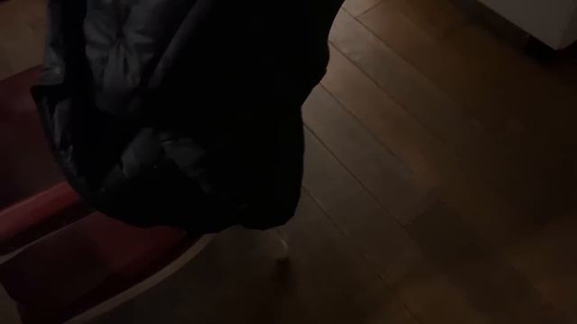 Алиса - лиса. Щетку не предлагать смотреть онлайн