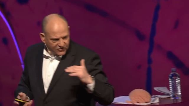 Why do we sleep? | Russell Foster смотреть онлайн