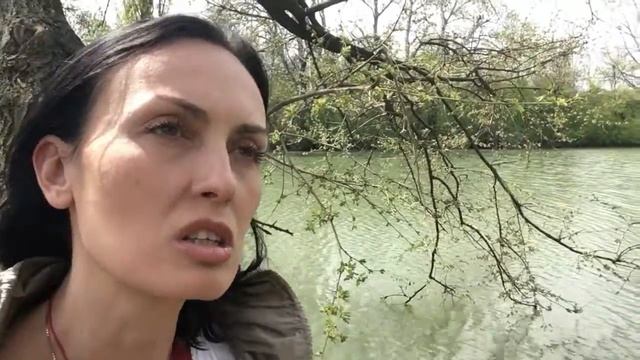 Запахи и сущщи в Васту. Жукова Жанна (продолжение) смотреть онлайн