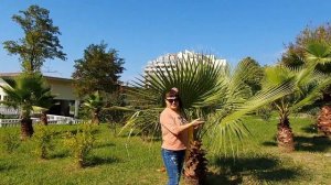 Аква Лоо Сочи