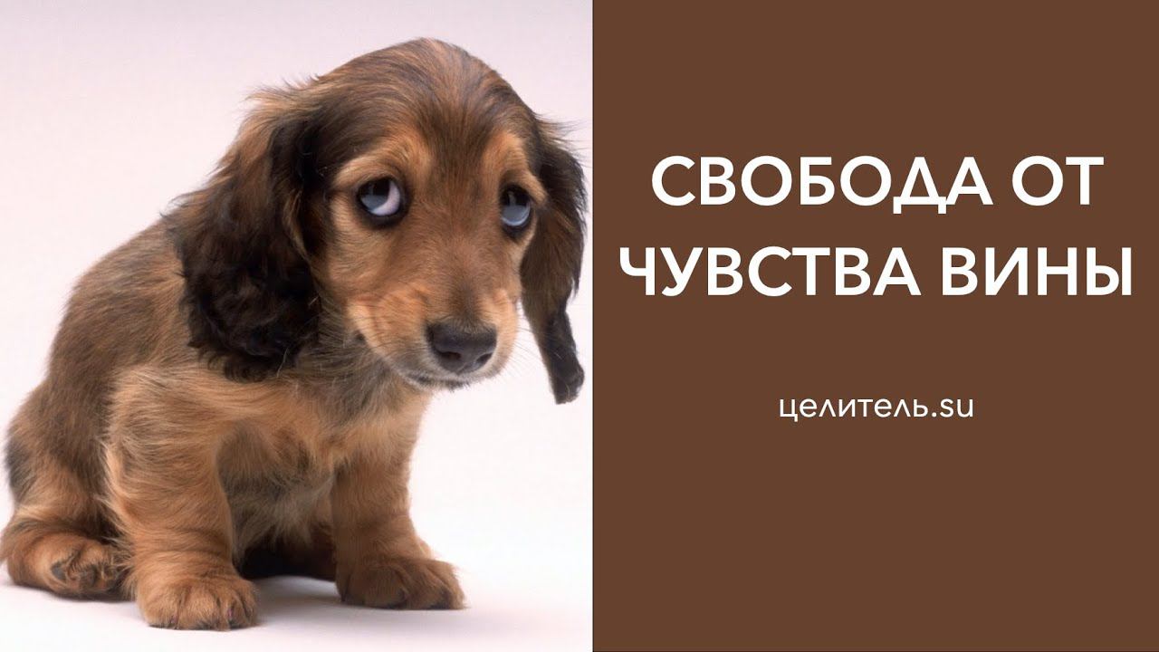 23 Чувство вины