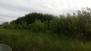 СМОТРИМ ДЛЯ ДУШИ ПОКАТУШКИ НА ЛОДКЕ С МОТОРМ БОЛОТОХОДОМ