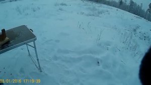 Пристрелка ВПО-185 и Атаман Ме18