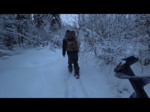 ЗА ТАЁЖНОЙ СВЕЖЕСТЬЮ. ПО ТАЁЖКЕ НА ЛЫЖАХ.