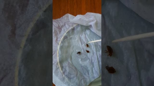 8 ноября 2023 г. смотреть онлайн