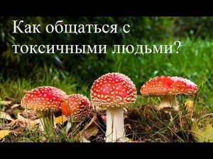 Токсичные люди: кто они такие, откуда они берутся, как с ними общаться