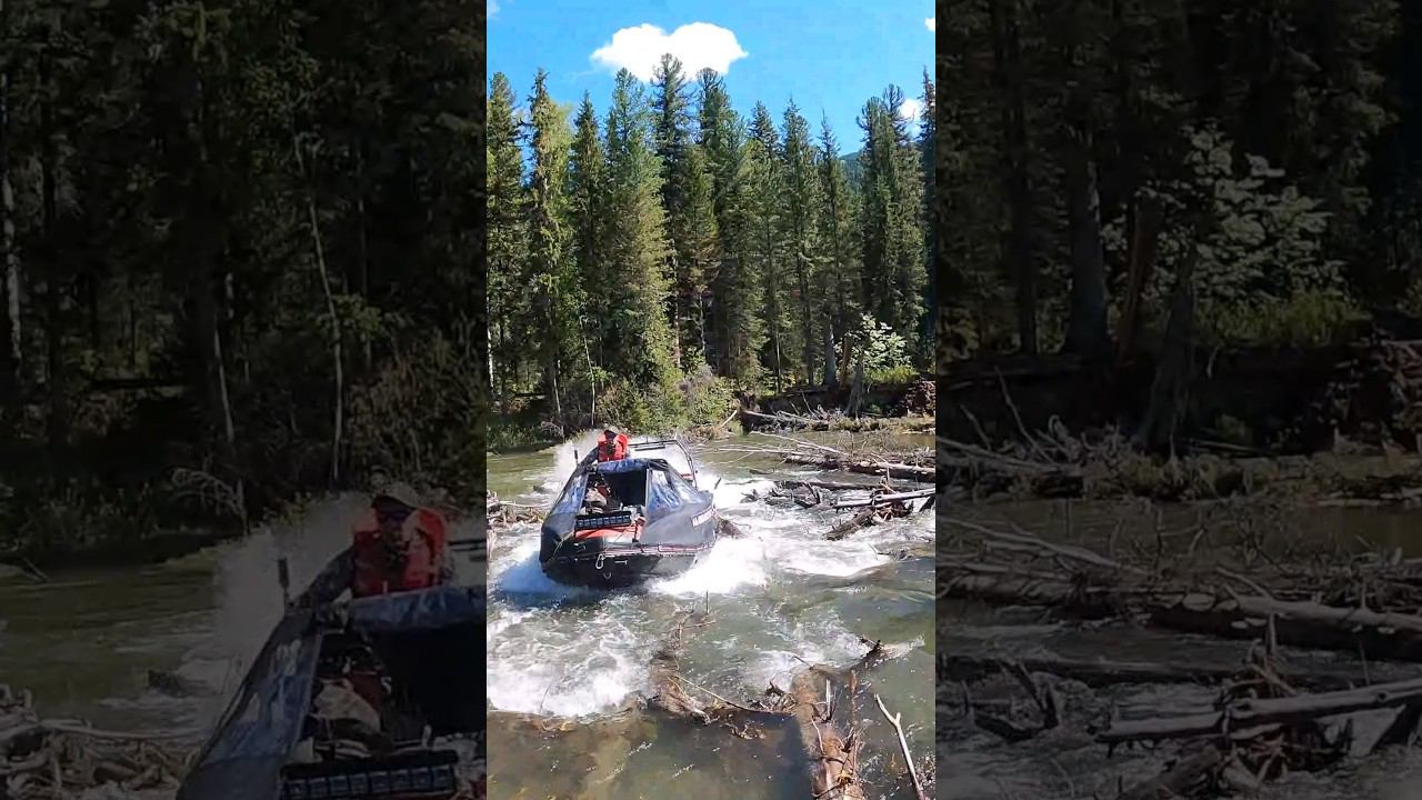 Час работы пилой, руками и ногами и конечно же головой- разобрали затор на реке и идем вверх смотреть онлайн