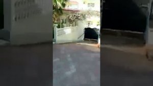 Адлер наш отдых гостиница Одеон