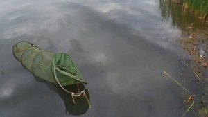 Ловили карася , а поймали.......Его тоже поймали .Рыбалка на Волчьих воротах!!