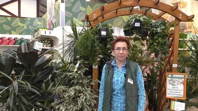 Что подарить на 14, 23 и 8? смотреть онлайн