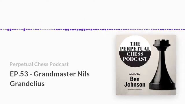 Interview with GM Nils Grandelius re working on Team Magnus, bughouse, playing against chess legend смотреть онлайн