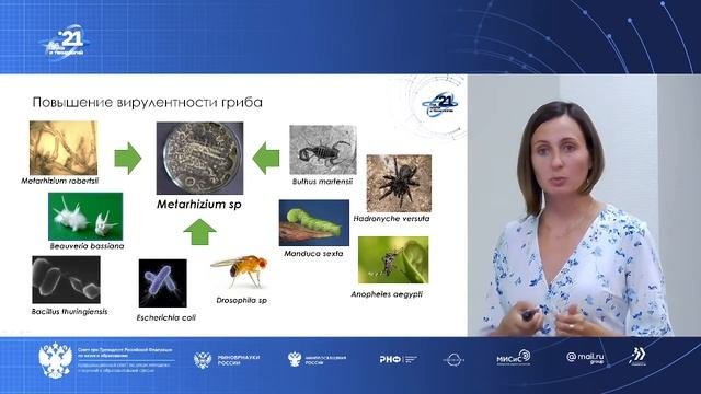 Современное биологическое оружие для контроля численности насекомых вредителей