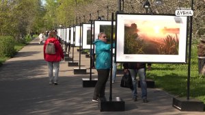 Рассветы и туманы...