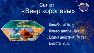 Салют "ВЕЕР КОРОЛЕВЫ"  100 залпов 0,8