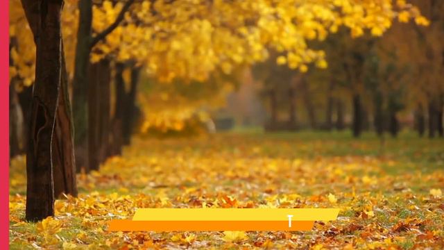 Best camera phone under 20000 in 2022 | Best camera smartphone under 20000 [108MP + 32MP] смотреть онлайн