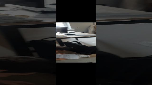 Переезд лучшее время ддя съемки обучающих видео