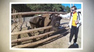 Святогорск - "Донецкая Швейцария". Осень-2017. Велопутешествие!