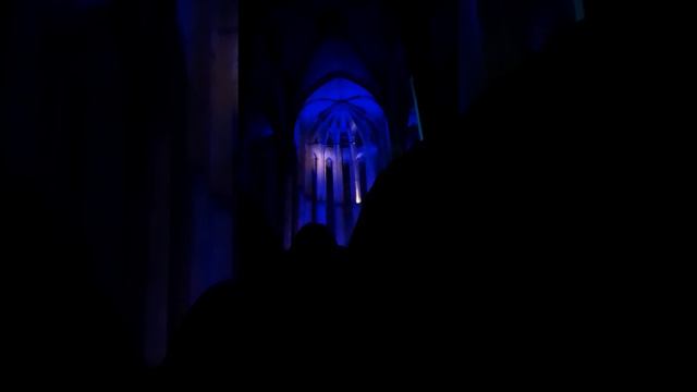 2021(22/12) CONCERT DE MARIA DEL MAR BONET A LA BASÍLICA DE SANTA MARIA DEL MAR.  BARCELONA.