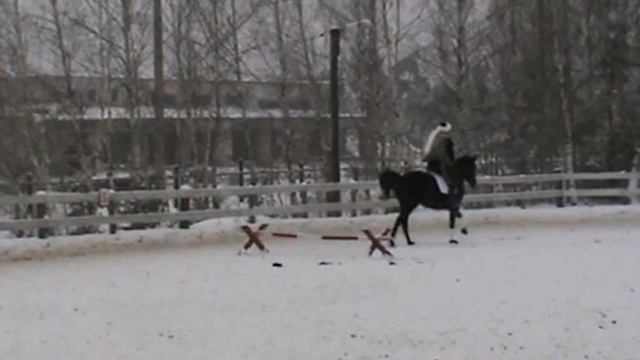 Зимняя конная сказка смотреть онлайн