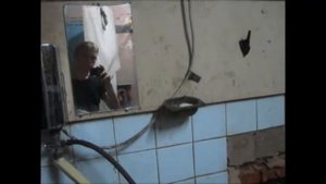 Самый страшный туалет в мире! Ремонт туалета