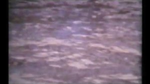 Камышин в хронике Выпуск №119. Камышин, лето 1982 года, Волга, мост, островок