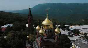 Здоров и Вера. Выпуск от 12.11.22