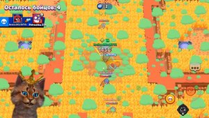ПРЯТКИ НА КАРТЕ ВЕСЁЛЫЙ КОТ В БРАВЛ СТАРС! НОВЫЙ МИНИ РЕЖИМ BRAWL STARS